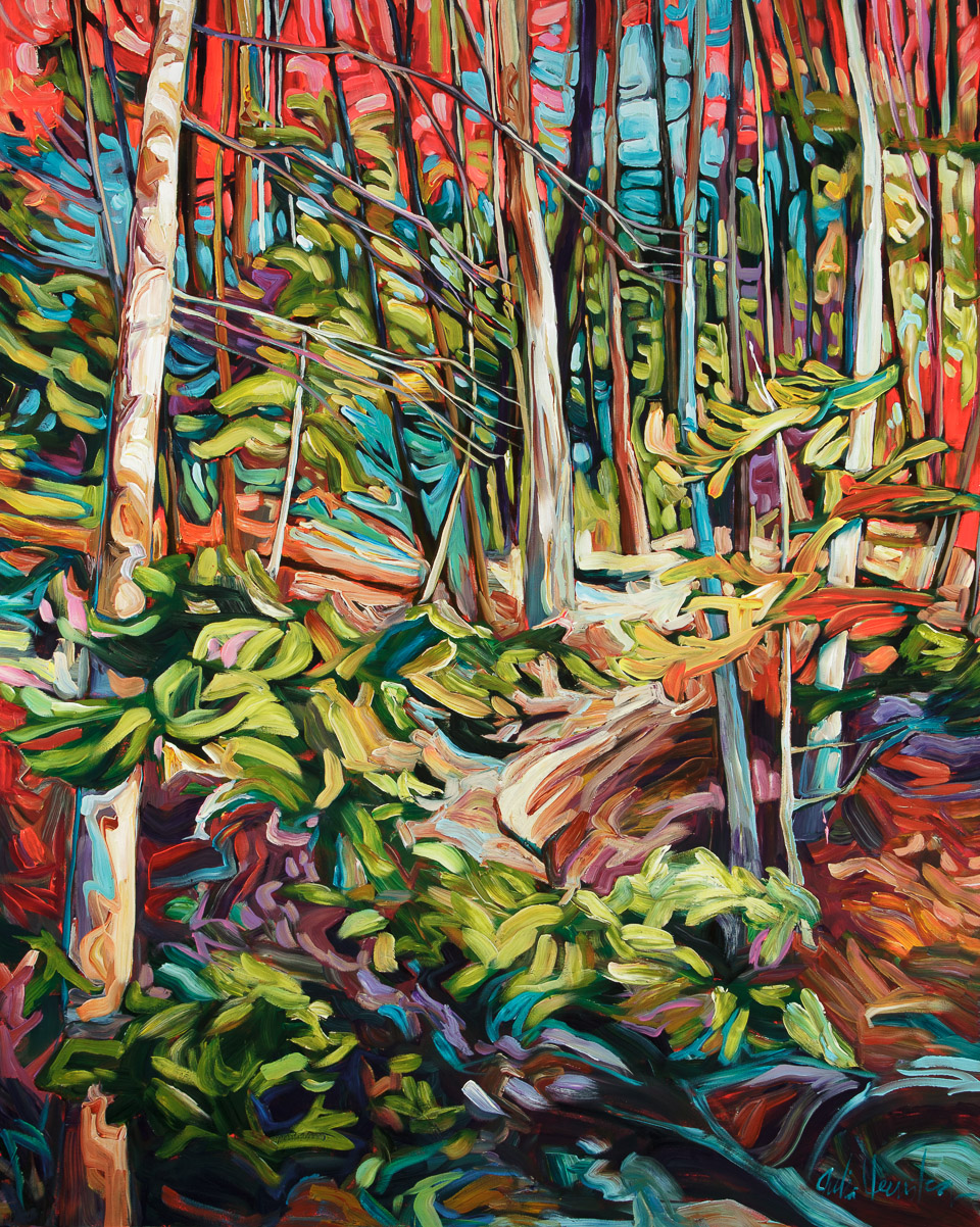 A Walk in the Woods
